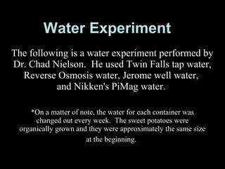 Water Experiment
The following is a water experiment performed by
Dr. Chad Nielson. He used Twin Falls tap water,
Reverse Osmosis water, Jerome well water,
and Nikken's PiMag water.
*On a matter of note, the water for each container was
changed out every week. The sweet potatoes were
organically grown and they were approximately the same size
at the beginning.
 