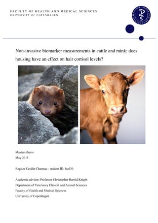 F A C U L T Y O F H E A L T H A N D M E D I C A L S C I E N C E S
U N I V E R S I T Y O F C O P E N H A G E N
Non-invasive biomarker measurements in cattle and mink: does
housing have an effect on hair cortisol levels?
Masters thesis
May 2015
Regitze Cecilie Charmac - student ID: lsz630
Academic advisor: Professor Christopher Harold Knight
Department of Veterinary Clinical and Animal Sciences
Faculty of Health and Medical Sciences
University of Copenhagen
 