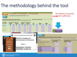 GHG Accounting Tool for Blue Carbon FAO EX-ACT | PDF
