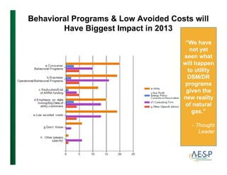Behavioral Programs  Low Avoided Costs will
Have Biggest Impact in 2013gg p
“We have
not yet
h tseen what
will happen
to utility
DSM/DRDSM/DR
programs
given the
new realitynew reality
of natural
gas.”
- Thought
Leader
 