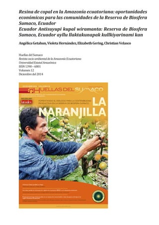 UNA REVISTA SOCIO AMBIENTAL DE LA AMAZONÍA ECUATORIANA
UNIVERSIDAD ESTATAL AMAZÓNICA
DICIEMBRE 2014 VOLUMEN 12
FOMENTANDO EL DIÁLOGO PARA LA SOSTENIBILIDAD
PRODUCTIVA EN LA RESERVA DE BIOSFERA SUMACO,
El Doncel (Otoba parvifolia) en Napo
Napumanta wapa yura (Otoba parvifolia)
Los retos sociales en el proceso de diseño de un proyecto REDD+ en la Amazonía ecuatoriana
Runakunapa llankay tiyaktiwan rurashpa REDD+sumakrurayta Ecuador Antisuyupi
Producción de Cuyes (Cavia porcellus) en un sistema de crianza familiar a base de pastos y forrajes en la
región Amazónica Ecuatoriana
Cuykunata mirachiymanta (Cavia porcellus) ayllu llikashpa winachiy wakra mikuna kiwawa forrajes nishkawanpash
Ecuador antisuyu pampapi
HuellasdelSumaco
RevistasocioambientaldelaAmazoníaEcuatoriana
UniversidadEstatalAmazónica
ISSN1390–6801
Volumen12
Diciembredel2014
Resina de copal en la Amazonía ecuatoriana: oportunidades
económicas para las comunidades de la Reserva de Biosfera
Sumaco, Ecuador
Ecuador Antisuyupi kupal wiramanta: Reserva de Biosfera
Sumaco, Ecuador ayllu llaktakunapak kullkiyarinami kan
AngélicaGetahun,VioletaHernández,ElizabethGering,ChristianVelasco
 