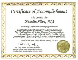 Certificate - Natalia Silva