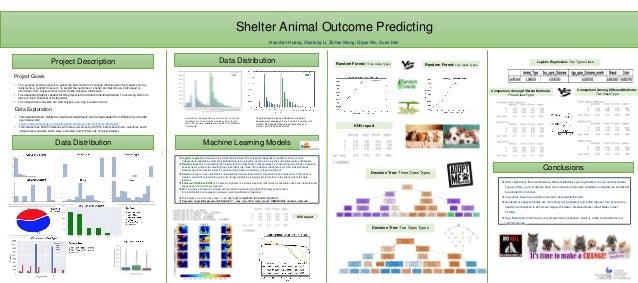 Python Project Poster
