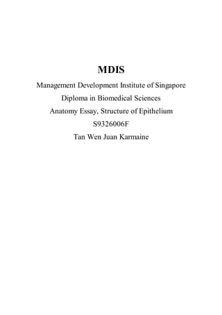 MDIS
Management Development Institute of Singapore
Diploma in Biomedical Sciences
Anatomy Essay, Structure of Epithelium
S9326006F
Tan Wen Juan Karmaine
 