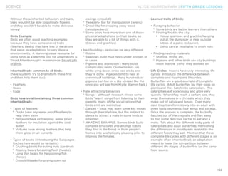 KLYDE WARREN PARK | FIFTH GRADE LESSONS
132
SCIENCE
Without these inherited behaviors and traits,
bees wouldn’t be able to pollinate flowers
and they wouldn’t be able to make delicious
honey!
Birds Example:
Birds are often good teaching examples
because they have some shared traits
(feathers, beaks) that have lots of variations
that serve as adaptations to very diverse
environments. A stunning visual resource for
using birds as a learning tool for adaptations is
David Attenborough’s masterpiece: Secret Life
of Birds.
Inherited traits common to all birds:
(have students try to brainstorm these first
and then help them out)
•	Feathers
•	Beaks
•	Eggs
Birds have variations among these common
inherited traits:
•	Types of feathers
°° Ducks have oily water proof feathers to
help them swim
°° Penguins have air trapping, water proof
feathers for insulation against the cold
water
°° Vultures have strong feathers that help
them glide on air currents
•	Types of beaks (introducing the Galapagos
finches here would be fantastic)
°° Crushing beaks for eating nuts (cardinal)
°° Ripping beaks for eating flesh (hawks)
°° Long thin beaks for harpooning fish
(heron)
°° Cross bill beaks for prying open nut
casings (crossbill)
°° Tweezers- like for manipulation (wrens)
°° Chisel like for chipping away wood
(woodpeckers)
°° Some birds have more than one of those
physical adaptations on their beaks, so
they are able to a lot of things with it.
(Crows and grackles)
•	Nest building - nests can be very different
°° Robins
°° Swallows build mud nests under bridges or
in caves
°° Pigeons and doves don’t really build
complicated nests. (Some birders say
white wing doves cross two sticks and
they’re done. Pigeons tend to nest in
crannies of buildings. Many hundreds of
pigeons can live on a sky scraper like the
ones you will see from Klyde Warren Park.)
•	Mate attracting behaviors
°° Songs – although research shows some
birds “learn” songs from listening to their
parents, many of the vocalizations that
birds emit are instinctual
°° Dances – birds may learn some key moves
through their life time, but the instinct to
dance to attract a mate in some birds is
inherited
°° AMAZING EXAMPLE: Barrow birds build
complex structures and arrange tidbits
they find in the forest or from people’s
homes into aesthetically pleasing piles to
impress the females.
Learned traits of birds:
•	Foraging behavior
°° Some birds are better learners than others
°° Finding food in the city
§§ House sparrows and grackles hanging
out at the dumpster or near outside
tables at a patio restaurant.
§§ Using cars at stoplights to crush nuts
•	Finding nesting materials
°° Stuffing, string, etc.
°° Pigeons and other birds use city buildings
much like the “cliffs” they evolved on
Life Cycles: Insects have very interesting life
cycles. Introduce the difference between
complete and incomplete lifecycles.
Butterflies are a great example of complete
life cycles. Adult butterflies lay their eggs on
plants and they hatch into caterpillars. The
caterpillars eat voraciously and grow very
quickly. When they reach a certain size, they
wrap themselves in a chrysalis which they
make out of saliva and leaves. Over many
days they transform slowly into an adult with
three body segments, four wings and six legs.
Once the process is complete, the butterfly
hatches out of the chrysalis and flies away
to find some delicious nectar to eat and a
mate. Talk about the different body parts of
caterpillars and adult butterflies, mentioning
the differences in mouthparts related to the
different foods they eat. Mention that these
complete life cycles with different stages is an
example of an inherited trait, an adaptation
meant to lower the competition between
different life stages of butterflies for the same
food source.
 