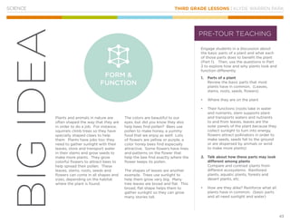 THIRD GRADE LESSONS | KLYDE WARREN PARK
43
BIGIDEA
SCIENCE
Engage students in a discussion about
the basic parts of a plant and what each
of those parts does to benefit the plant
(Part 1). Then, use the questions in Part
2 to explore how and why plants look and
function differently.
1.	 Parts of a plant
Review the basic parts that most
plants have in common. (Leaves,
stems, roots, seeds, flowers)
•		 Where they are on the plant
•		 Their functions (roots take in water
and nutrients, stem supports plant
and transports waters and nutrients
to and from leaves, leaves are the
solar panels of the plant because they
collect sunlight to turn into energy,
flowers attract pollinators in order to
make seeds, seeds fall to the ground
or are dispersed by animals or wind
to make more plants)
2.	 Talk about how these parts may look
different among plants
Compare and contrast plants from
different ecosystems: Rainforest
plants, aquatic plants, forests and
desert plants, etc.
•		 How are they alike? Reinforce what all
plants have in common. (basic parts
and all need sunlight and water)
FORM &
FUNCTION
Plants and animals in nature are
often shaped the way that they are
in order to do a job. For instance,
squirrels climb trees so they have
specially shaped claws to help
them. Plants have jobs too: they
need to gather sunlight with their
leaves, store and transport water
in their stems and grow seeds to
make more plants. They grow
colorful flowers to attract bees to
help spread their pollen. These
leaves, stems, roots, seeds and
flowers can come in all shapes and
sizes, depending on the habitat
where the plant is found.
The colors are beautiful to our
eyes, but did you know they also
help bees find pollen? Bees use
pollen to make honey, a yummy
food that we enjoy as well! Lots
of flowers are yellow or purple, a
color honey bees find especially
attractive. Some flowers have lines
and patterns on the flower that
help the bee find exactly where the
flower keeps its pollen.
The shapes of leaves are another
example. Trees use sunlight to
help them grow very big. Many
tree leaves are broad and flat. This
broad, flat shape helps them to
gather sunlight so they can grow
many stories tall.
PRE-TOUR TEACHING
 