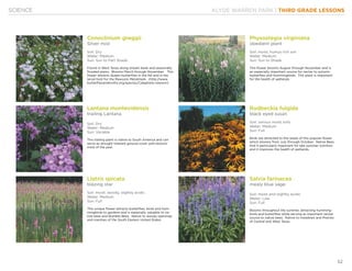 KLYDE WARREN PARK | THIRD GRADE LESSONS
52
SCIENCE
Conoclinium greggii
Silver mist
Soil: Dry
Water: Medium
Sun: Sun to Part Shade
Found in West Texas along stream beds and seasonally
flooded plains. Blooms March through November. This
flower attracts Queen butterflies in the fall and is the
larval host for the Rawsons Metalmark. (http://www.
butterfliesandmoths.org/species/Calephelis-rawsoni)
Physostegia virginiana
obedient plant
Soil: moist, humus rich soil
Water: Medium
Sun: Sun to Shade
This flower blooms August through November and is
an especially important source for nectar to autumn
butterflies and hummingbirds. This plant is important
for the health of wetlands.
Lantana montevidensis
trailing Lantana
Soil: Dry
Water: Medium
Sun: Variable
This trailing plant is native to South America and can
serve as drought tolerant ground cover with blooms
most of the year.
Rudbeckia fulgida
black eyed susan
Soil: various moist soils
Water: Medium
Sun: Full
Birds are attracted to the seeds of this popular flower
which blooms from July through October. Native Bees
find it particularly important for late summer nutrition
and it improves the health of wetlands.
LIatris spicata
blazing star
Soil: moist, woody, slightly acidic
Water: Medium
Sun: Full
This unique flower attracts butterflies, birds and hum-
mingbirds to gardens and is especially valuable to na-
tive bees and Bumble Bees. Native to woody openings
and marshes of the South Eastern United States.
Salvia farinacea
mealy blue sage
Soil: moist and slightly acidic
Water: Low
Sun: Full
Blooms throughout the summer, attracting humming-
birds and butterflies while serving as important nectar
source to native bees. Native to meadows and Prairies
of Central and West Texas.
 