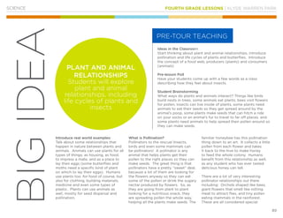 FOURTH GRADE LESSONS | KLYDE WARREN PARK
89
BIGIDEA
SCIENCE
Ideas in the Classroom
Start thinking about plant and animal relationships, introduce
pollination and life cycles of plants and butterflies. Introduce
the concept of a food web, producers (plants) and consumers
(animals)
Pre-lesson Poll
Have your students come up with a few words as a class
describing how they feel about insects.
Student Brainstorming
What ways do plants and animals interact? Things like birds
build nests in trees, some animals eat plants, bees visit flowers
for pollen, insects can live inside of plants, some plants need
animals to eat their seeds so they get spread around by the
animal’s poop, some plants make seeds that can hitch a ride
on your socks or an animal’s fur to travel to far off places, and
some plants need animals to help spread their pollen around so
they can make seeds.
Introduce real world examples:
Talk about some relationships that
happen in nature between plants and
animals. Animals can use plants for all
types of things: as housing, as food,
to impress a mate, and as a place to
lay their eggs (some butterflies and
moths need a specific kind of plant
on which to lay their eggs). Humans
use plants too: for food of course, but
also for clothing, building materials,
medicine and even some types of
plastic. Plants can use animals as
well, mostly for seed dispersal and
pollination.
What is Pollination?
Pollinators to the rescue! Insects,
birds and even some mammals can
be pollinators! A pollinator is any
animal that helps plants get their
pollen to the right places so they can
make seeds. The great thing is that
pollinators have a pretty “sweet” deal,
because a lot of them are looking for
the flowers anyway so they can eat
some of the pollen or drink the sugary
nectar produced by flowers. So, as
they are going from plant to plant
looking for a nutritious snack, they
are spreading pollen the whole way,
helping all the plants make seeds. The
familiar honeybee has this pollination
thing down to an art. It collects a little
pollen from each flower and takes
it back to the hive to make honey
to feed the whole colony. Humans
benefit from this relationship as well,
as any student who has ever tasted
delicious honey can tell.
There are a lot of very interesting
pollinator relationships out there
including: Orchids shaped like bees,
giant flowers that smell like rotting
meat to attract flies, and tiny pollen
eating mammals in the rainforest.
These are all considered special
PRE-TOUR TEACHING
PLANT AND ANIMAL
RELATIONSHIPS
Students will explore
plant and animal
relationships, including
life cycles of plants and
insects
 