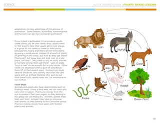 KLYDE WARREN PARK | FOURTH GRADE LESSONS
90
SCIENCE
adaptations to take advantage of the process of
pollination. Some beetles, butterflies, hummingbirds
and humans can also be considered pollinators!
Once a plant is pollinated, it can produce seeds.
Some plants just let their seeds drop, others need
to find ways to help their seeds get to new places.
It is good for the seeds to travel to new places,
because this means that there will be more plants
growing in more places, instead of a bunch of plants
all growing in one place…but how do they get there?
Plants can’t just grow legs and walk over to a new
place, can they? They have to rely on wind, animals
or humans to help them get there! Lots of seeds
“hitch a ride” on an animal’s fur or your socks. Other
seeds are dispersed when a gust of wind blows
them off of their parent plant. Humans can travel
very far distances very quickly, and often we take
seeds with us without thinking of it, such as our
food (peach pits, apple cores, etc.) or unnoticed on
our clothes.
Food Webs
Animals and plants also have relationships built on
finding a meal. Using a food web, we can track who
eats what in nature. Plants use energy from the
sun to produce their own sugars, so they belong to
the group we call Producers. Animals cannot make
their own food. Instead, they have to consume
(eat) plants, so they belong to the Consumer group.
Practice making simple food webs with familiar
plants and animals.
 
