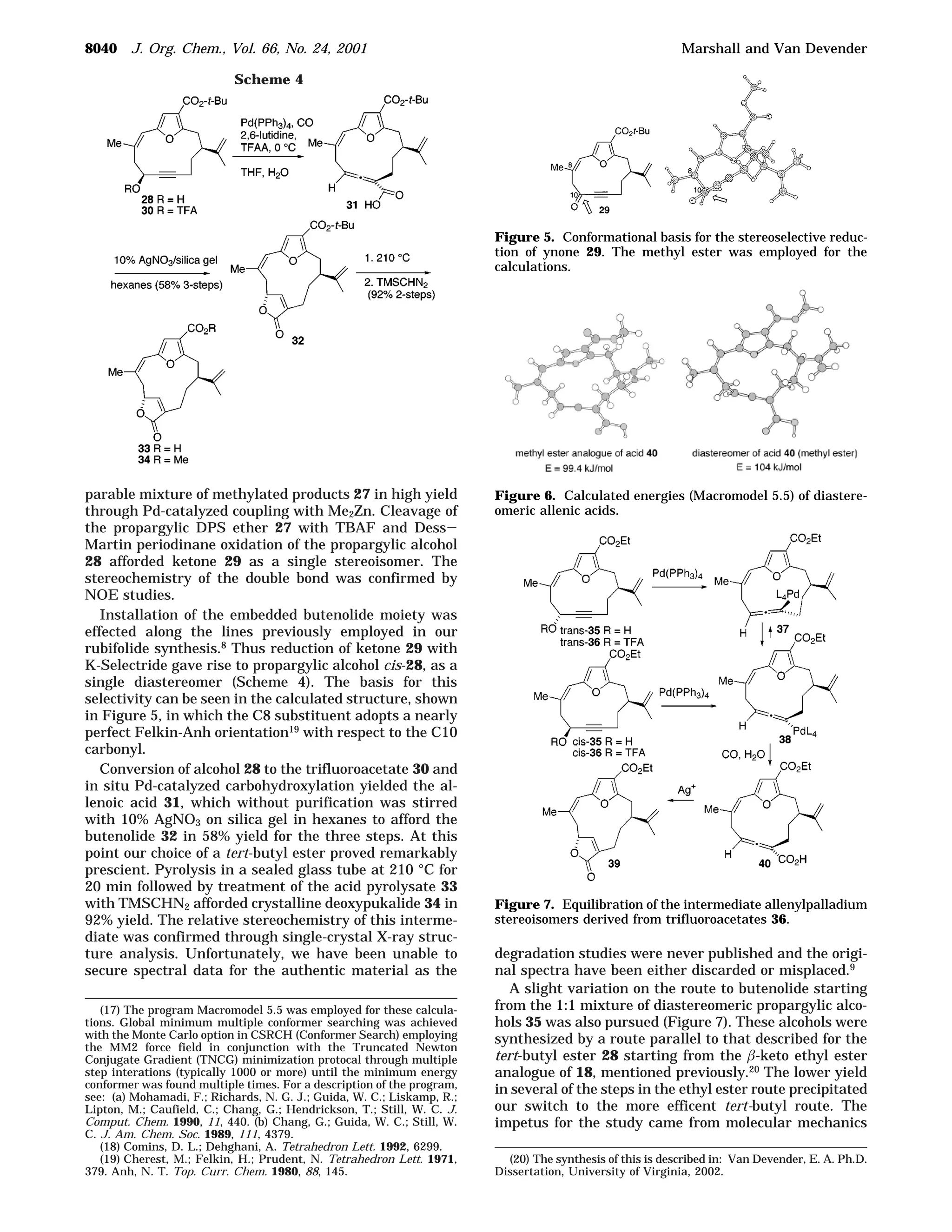 parable mixture of methylated products 27 in high yield
through Pd-catalyzed coupling with Me2Zn. Cleavage of
the propargylic DPS ether 27 with TBAF and Dess-
Martin periodinane oxidation of the propargylic alcohol
28 afforded ketone 29 as a single stereoisomer. The
stereochemistry of the double bond was confirmed by
NOE studies.
Installation of the embedded butenolide moiety was
effected along the lines previously employed in our
rubifolide synthesis.8 Thus reduction of ketone 29 with
K-Selectride gave rise to propargylic alcohol cis-28, as a
single diastereomer (Scheme 4). The basis for this
selectivity can be seen in the calculated structure, shown
in Figure 5, in which the C8 substituent adopts a nearly
perfect Felkin-Anh orientation19 with respect to the C10
carbonyl.
Conversion of alcohol 28 to the trifluoroacetate 30 and
in situ Pd-catalyzed carbohydroxylation yielded the al-
lenoic acid 31, which without purification was stirred
with 10% AgNO3 on silica gel in hexanes to afford the
butenolide 32 in 58% yield for the three steps. At this
point our choice of a tert-butyl ester proved remarkably
prescient. Pyrolysis in a sealed glass tube at 210 °C for
20 min followed by treatment of the acid pyrolysate 33
with TMSCHN2 afforded crystalline deoxypukalide 34 in
92% yield. The relative stereochemistry of this interme-
diate was confirmed through single-crystal X-ray struc-
ture analysis. Unfortunately, we have been unable to
secure spectral data for the authentic material as the
degradation studies were never published and the origi-
nal spectra have been either discarded or misplaced.9
A slight variation on the route to butenolide starting
from the 1:1 mixture of diastereomeric propargylic alco-
hols 35 was also pursued (Figure 7). These alcohols were
synthesized by a route parallel to that described for the
tert-butyl ester 28 starting from the β-keto ethyl ester
analogue of 18, mentioned previously.20
The lower yield
in several of the steps in the ethyl ester route precipitated
our switch to the more efficent tert-butyl route. The
impetus for the study came from molecular mechanics
(17) The program Macromodel 5.5 was employed for these calcula-
tions. Global minimum multiple conformer searching was achieved
with the Monte Carlo option in CSRCH (Conformer Search) employing
the MM2 force field in conjunction with the Truncated Newton
Conjugate Gradient (TNCG) minimization protocal through multiple
step interations (typically 1000 or more) until the minimum energy
conformer was found multiple times. For a description of the program,
see: (a) Mohamadi, F.; Richards, N. G. J.; Guida, W. C.; Liskamp, R.;
Lipton, M.; Caufield, C.; Chang, G.; Hendrickson, T.; Still, W. C. J.
Comput. Chem. 1990, 11, 440. (b) Chang, G.; Guida, W. C.; Still, W.
C. J. Am. Chem. Soc. 1989, 111, 4379.
(18) Comins, D. L.; Dehghani, A. Tetrahedron Lett. 1992, 6299.
(19) Cherest, M.; Felkin, H.; Prudent, N. Tetrahedron Lett. 1971,
379. Anh, N. T. Top. Curr. Chem. 1980, 88, 145.
(20) The synthesis of this is described in: Van Devender, E. A. Ph.D.
Dissertation, University of Virginia, 2002.
Scheme 4
Figure 5. Conformational basis for the stereoselective reduc-
tion of ynone 29. The methyl ester was employed for the
calculations.
Figure 6. Calculated energies (Macromodel 5.5) of diastere-
omeric allenic acids.
Figure 7. Equilibration of the intermediate allenylpalladium
stereoisomers derived from trifluoroacetates 36.
8040 J. Org. Chem., Vol. 66, No. 24, 2001 Marshall and Van Devender
 