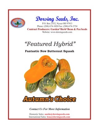 Dorsing Seeds, Inc.
P.O. Box 2552, Nyssa OR 97913
Phone: (208) 674-1020 Fax: (208) 674-3754
Contract Producers: Garden*Herb*Bean & Pea Seeds
Website: www.dorsingseeds.com
“Featured Hybrid”
Fantastic New Butternut Squash
Domestic Sales: austin@dorsingseeds.com
International Sales: lena@dorsingseeds.com
Contact Us For More Information
Autumn’s Choice
 