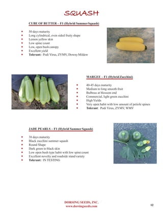 DORSING SEEDS, INC.
www.dorsingseeds.com
SQUASH
CUBE OF BUTTER – F1 (Hybrid SummerSquash)
‐‐ 50 days maturity
‐‐ Long cylindrical, even sided fruity shape
‐‐ Lemon yellow skin
‐‐ Low spine count
‐‐ Low, open bush canopy
‐‐ Excellent yield
‐‐ Tolerant: Podi Virus, ZYMV, DownyMildew
MARGEE – F1 (HybridZucchini)
‐‐ 40-45 days maturity
‐‐ Medium to long smooth fruit
‐‐ Bulbous at blossom end
‐‐ Commercial, light green zucchini
‐‐ High Yields
‐‐ Very open habit with low amount of petiole spines
‐‐ Tolerant: Podi Virus, ZYMV, WMV
JADE PEARLS – F1 (Hybrid SummerSquash)
‐‐ 38 days maturity
‐‐ Black zucchini summer squash
‐‐ Round Shape
‐‐ Dark green to black skin
‐‐ Low open bush type habit with low spinecount
‐‐ Excellent novelty and roadside stand variety
‐‐ Tolerant: IN TESTING
12
 