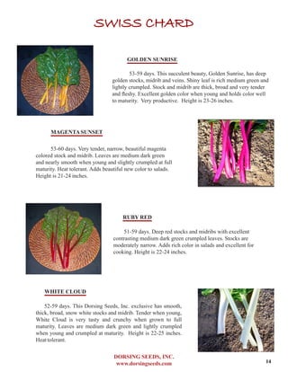 DORSING SEEDS, INC.
www.dorsingseeds.com
SWISS CHARD
GOLDEN SUNRISE
53-59 days. This succulent beauty, Golden Sunrise, has deep
golden stocks, midrib and veins. Shiny leaf is rich medium green and
lightly crumpled. Stock and midrib are thick, broad and very tender
and fleshy. Excellent golden color when young and holds color well
to maturity. Very productive. Height is 23-26 inches.
MAGENTASUNSET
53-60 days. Very tender, narrow, beautiful magenta
colored stock and midrib. Leaves are medium dark green
and nearly smooth when young and slightly crumpled at full
maturity. Heat tolerant. Adds beautiful new color to salads.
Height is 21-24 inches.
RUBY RED
51-59 days. Deep red stocks and midribs with excellent
contrasting medium dark green crumpled leaves. Stocks are
moderately narrow. Adds rich color in salads and excellent for
cooking. Height is 22-24 inches.
WHITE CLOUD
52-59 days. This Dorsing Seeds, Inc. exclusive has smooth,
thick, broad, snow white stocks and midrib. Tender when young,
White Cloud is very tasty and crunchy when grown to full
maturity. Leaves are medium dark green and lightly crumpled
when young and crumpled at maturity. Height is 22-25 inches.
Heattolerant.
14
 