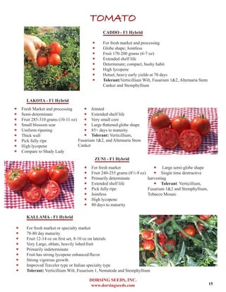 DORSING SEEDS, INC.
www.dorsingseeds.com
TOMATO
CADDO - F1 Hybrid
‐‐ For fresh market and processing
‐‐ Globe shape; Jointless
‐‐ Fruit 170-200 grams (6-7 oz)
‐‐ Extended shelf life
‐‐ Determinate; compact, bushy habit
‐‐ High lycopene
‐‐ Hotset, heavy early yields at 70 days
‐‐ Tolerant:Verticillium Wilt, Fusarium 1&2, Alternaria Stem
Canker and Stemphyllium
LAKOTA - F1 Hybrid
ZUNI - F1 Hybrid
KALLAMA - F1 Hybrid
‐‐ For fresh market or specialty market
‐‐ 78-80 day maturity
‐‐ Fruit 12-14 oz on first set, 8-10 oz on laterals
‐‐ Very Large, oblate, heavily lobedfruit
‐‐ Primarily indeterminate
‐‐ Fruit has strong lycopene enhanced flavor
‐‐ Strong vigorous growth
‐‐ Improved Traveler type or Italian specialty type
‐‐ Tolerant: Verticillium Wilt, Fusarium 1, Nematode and Stemphyllium
‐‐ Fresh Market and processing
‐‐ Semi-determinate
‐‐ Fruit 285-310 grams (10-11 oz)
‐‐ Small blossom scar
‐‐ Uniform ripening
‐‐ Thick wall
‐‐ Pick fully ripe	
‐‐ High lycopene
‐‐ Compare to Shady Lady
‐‐ Jointed
‐‐ Extended shelf life	
‐‐ Very small core
‐‐ Large flattened globe shape
‐‐ 85+ days to maturity
‐‐ Tolerant: Verticillium,
Fusarium 1&2, and Alternaria Stem
Canker
‐‐ For fresh market	
‐‐ Fruit 240-255 grams (81/2-9 oz)
‐‐ Primarily determinate	
‐‐ Extended shelf life	
‐‐ Pick fully ripe
‐‐ Jointless	
‐‐ High lycopene
‐‐ 80 days to maturity
‐‐ Large semi-globe shape
‐‐ Single time destructive
harvesting
‐‐ Tolerant: Verticillium,
Fusarium 1&2 and Stemphyllium,
Tobacco Mosaic
15
 