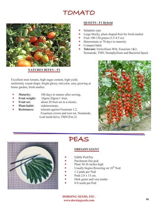 DORSING SEEDS, INC.
www.dorsingseeds.com
TOMATO
QUEETS - F1 Hybrid
‐‐ Saladette type
‐‐ Large blocky, plum shaped fruit for fresh market
‐‐ Fruit 100-130 grams (3.5-4.5 oz)
‐‐ Determinate at 70 days to maturity
‐‐ Compact habit
‐‐ Tolerant: Verticillium Wilt, Fusarium 1&2,
Nematode, TMV, Stemphyllium and Bacterial Speck
NATURES BITES – F1
Excellent mini tomato, high sugar content, high yield,
uniformity round shape, bright glossy red color, easy growing at
home garden, fresh market.
‐‐ Maturity:	 100 days to mature after sowing,
‐‐ Fruit weight: 18grm-20grm/1 fruit,
‐‐ Fruit set:	 about 20 fruit set in a cluster,
‐‐ Plant habit:	 indeterminate,
‐‐ Resistances:	 tolerant against Fusarium 1,2,
Fusarium crown and root rot, Nematode,
Leaf mold fulva, TMV(Tm-2)
PEAS
OREGON GIANT
‐‐ Edible Pod Pea
‐‐ Parchment free pod
‐‐ Plant 30-36 inches high
‐‐ Usually begins flowering on 16th
Nod
‐‐ 1-2 pods per Nod
‐‐ Pods 2.8 x 13 cm.
‐‐ Dark green and very tender
‐‐ 8-9 seeds per Pod.
16
 