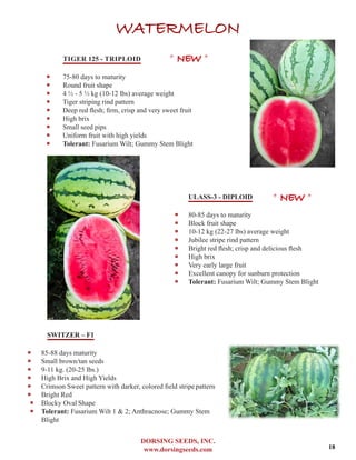 DORSING SEEDS, INC.
www.dorsingseeds.com
WATERMELON
TIGER 125 - TRIPLOID
‐‐ 75-80 days to maturity
‐‐ Round fruit shape
‐‐ 4 1/2 - 5 1/2 kg (10-12 lbs) average weight
‐‐ Tiger striping rind pattern
‐‐ Deep red flesh; firm, crisp and very sweet fruit
‐‐ High brix
‐‐ Small seed pips
‐‐ Uniform fruit with high yields
‐‐ Tolerant: Fusarium Wilt; Gummy Stem Blight
ULASS-3 - DIPLOID
‐‐ 80-85 days to maturity
‐‐ Block fruit shape
‐‐ 10-12 kg (22-27 lbs) average weight
‐‐ Jubilee stripe rind pattern
‐‐ Bright red flesh; crisp and delicious flesh
‐‐ High brix
‐‐ Very early large fruit
‐‐ Excellent canopy for sunburn protection
‐‐ Tolerant: Fusarium Wilt; Gummy Stem Blight
SWITZER – F1
‐‐ 85-88 days maturity
‐‐ Small brown/tan seeds
‐‐ 9-11 kg. (20-25 lbs.)
‐‐ High Brix and High Yields
‐‐ Crimson Sweet pattern with darker, colored field stripepattern
‐‐ Bright Red
‐‐ Blocky Oval Shape
‐‐ Tolerant: Fusarium Wilt 1 & 2; Anthracnose; Gummy Stem
Blight
* NEW *
* NEW *
18
 