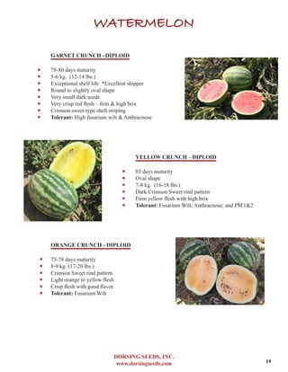 DORSING SEEDS, INC.
www.dorsingseeds.com
WATERMELON
U
GARNET CRUNCH - DIPLOID
‐‐ 78-80 days maturity
‐‐ 5-6 kg. (12-14 lbs.)
‐‐ Exceptional shelf life	 *Excellent shipper
‐‐ Round to slightly oval shape	
‐‐ Very small dark seeds
‐‐ Very crisp red flesh – firm & high brix
‐‐ Crimson sweet type shell striping
‐‐ Tolerant: High fusarium wilt & Anthracnose
YELLOW CRUNCH – DIPLOID
‐‐ 85 days maturity
‐‐ Oval shape
‐‐ 7-8 kg. (16-18 lbs.)
‐‐ Dark Crimson Sweet rind pattern
‐‐ Firm yellow flesh with high brix
‐‐ Tolerant: Fusarium Wilt; Anthracnose; and PM1&2
ORANGE CRUNCH - DIPLOID
‐‐ 75-78 days maturity
‐‐ 8-9 kg. (17-20 lbs.)
‐‐ Crimson Sweet rind pattern
‐‐ Light orange to yellow flesh
‐‐ Crisp flesh with good flavor
‐‐ Tolerant: Fusarium Wilt
19
 