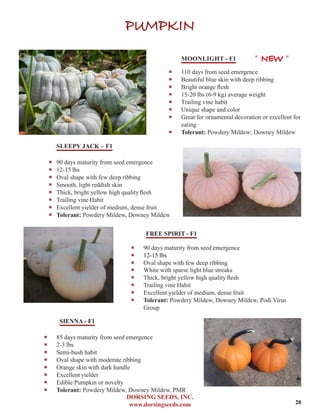 DORSING SEEDS, INC.
www.dorsingseeds.com
PUMPKIN
MOONLIGHT - F1
‐‐ 110 days from seed emergence
‐‐ Beautiful blue skin with deep ribbing
‐‐ Bright orange flesh
‐‐ 15-20 lbs (6-9 kg) average weight
‐‐ Trailing vine habit
‐‐ Unique shape and color
‐‐ Great for ornamental decoration or excellent for
eating
‐‐ Tolerant: Powdery Mildew; Downey Mildew
SLEEPY JACK – F1
‐‐ 90 days maturity from seed emergence
‐‐ 12-15 lbs
‐‐ Oval shape with few deep ribbing
‐‐ Smooth, light reddish skin
‐‐ Thick, bright yellow high qualityflesh
‐‐ Trailing vine Habit
‐‐ Excellent yielder of medium, dense fruit
‐‐ Tolerant: Powdery Mildew, Downey Mildew
FREE SPIRIT - F1
‐‐ 90 days maturity from seed emergence
‐‐ 12-15 lbs
‐‐ Oval shape with few deep ribbing
‐‐ White with sparse light blue streaks
‐‐ Thick, bright yellow high quality flesh
‐‐ Trailing vine Habit
‐‐ Excellent yielder of medium, dense fruit
‐‐ Tolerant: Powdery Mildew, Downey Mildew, Podi Virus
Group
SIENNA - F1
‐‐ 85 days maturity from seed emergence
‐‐ 2-3 lbs
‐‐ Semi-bush habit
‐‐ Oval shape with moderate ribbing
‐‐ Orange skin with dark handle
‐‐ Excellent yielder
‐‐ Edible Pumpkin or novelty
‐‐ Tolerant: Powdery Mildew, Downey Mildew, PMR
* NEW *
20
 