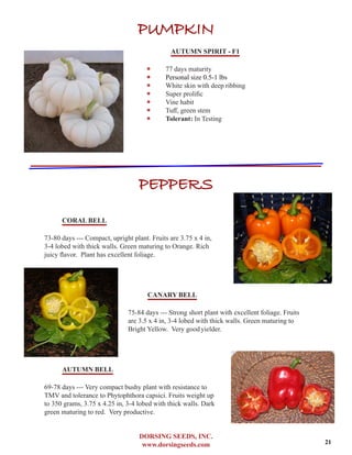 DORSING SEEDS, INC.
www.dorsingseeds.com
PUMPKIN
AUTUMN SPIRIT - F1
‐‐ 77 days maturity
‐‐ Personal size 0.5-1 lbs
‐‐ White skin with deep ribbing
‐‐ Super prolific
‐‐ Vine habit
‐‐ Tuff, green stem
‐‐ Tolerant: In Testing
PEPPERS
U
CORAL BELL
73-80 days --- Compact, upright plant. Fruits are 3.75 x 4 in,
3-4 lobed with thick walls. Green maturing to Orange. Rich
juicy flavor. Plant has excellent foliage.
CANARY BELL
75-84 days --- Strong short plant with excellent foliage. Fruits
are 3.5 x 4 in, 3-4 lobed with thick walls. Green maturing to
Bright Yellow. Very goodyielder.
AUTUMN BELL
69-78 days --- Very compact bushy plant with resistance to
TMV and tolerance to Phytophthora capsici. Fruits weight up
to 350 grams, 3.75 x 4.25 in, 3-4 lobed with thick walls. Dark
green maturing to red. Very productive.
21
 