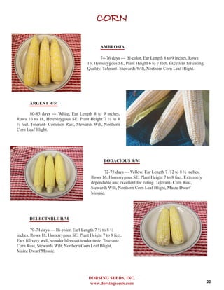 DORSING SEEDS, INC.
www.dorsingseeds.com
CORN
AMBROSIA
74-76 days --- Bi-color, Ear Length 8 to 9 inches, Rows
16, Homozygous SE, Plant Height 6 to 7 feet, Excellent for eating,
Quality. Tolerant- Stewards Wilt, Northern Corn Leaf Blight.
ARGENT R/M
80-85 days --- White, Ear Length 8 to 9 inches,
Rows 16 to 18, Heterozygous SE, Plant Height 7 ½ to 8
½ feet. Tolerant- Common Rust, Stewards Wilt, Northern
Corn Leaf Blight.
BODACIOUS R/M
72-75 days --- Yellow, Ear Length 7 /12 to 8 ½ inches,
Rows 16, Homozygous SE, Plant Height 7 to 8 feet. Extremely
dependable and excellent for eating. Tolerant- Corn Rust,
Stewards Wilt, Northern Corn Leaf Blight, Maize Dwarf
Mosaic.
DELECTABLE R/M
70-74 days --- Bi-color, Earl Length 7 ½ to 8 ½
inches, Rows 18, Homozygous SE, Plant Height 7 to 8 feet.
Ears fill very well, wonderful sweet tender taste. Tolerant-
Corn Rust, Stewards Wilt, Northern Corn Leaf Blight,
Maize Dwarf Mosaic.
22
 