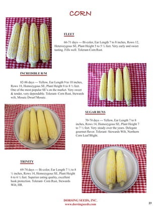 DORSING SEEDS, INC.
www.dorsingseeds.com
CORN
FLEET
66-71 days --- Bi-color, Ear Length 7 to 8 inches, Rows 12,
Heterozygous SE, Plant Height 5 to 5 ½ feet. Very early and sweet
tasting. Fills well. Tolerant-Corn Rust.
INCREDIBLE R/M
82-86 days --- Yellow, Ear Length 9 to 10 inches,
Rows 18, Homozygous SE, Plant Height 8 to 8 ½ feet.
One of the most popular SE’s on the market. Very sweet
& tender, very dependable. Tolerant- Corn Rust, Stewards
wilt, Mosaic Dwarf Mosaic.
SUGAR BUNS
70-74 days --- Yellow, Ear Length 7 to 8
inches, Rows 14, Homozygous SE, Plant Height 7
to 7 ½ feet. Very steady over the years. Delegate
gourmet flavor. Tolerant- Stewards Wilt, Northern
Corn Leaf Blight.
TRINITY
69-74 days --- Bi-color, Ear Length 7 ½ to 8
½ inches, Rows 14, Homozygous SE, Plant Height
6 to 6 ½ feet. Superior eating quality, excellent
husk protection. Tolerant- Corn Rust, Stewards
Wilt, HR.
23
 