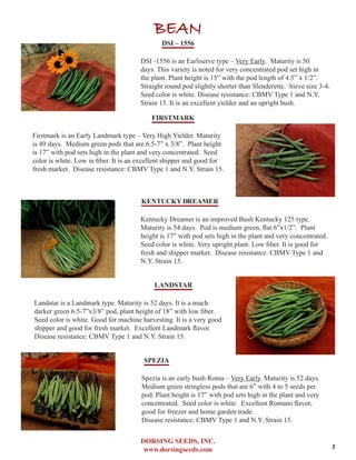 DORSING SEEDS, INC.
www.dorsingseeds.com
BEAN
DSI – 1556
DSI -1556 is an Earliserve type – Very Early. Maturity is 50
days. This variety is noted for very concentrated pod set high in
the plant. Plant height is 15” with the pod length of 4.5” x 1/2”.
Straight round pod slightly shorter than Slenderette. Sieve size 3-4.
Seed color is white. Disease resistance: CBMV Type 1 and N.Y.
Strain 15. It is an excellent yielder and an upright bush.
FIRSTMARK
Firstmark is an Early Landmark type – Very High Yielder. Maturity
is 49 days. Medium green pods that are 6.5-7” x 3/8”. Plant height
is 17” with pod sets high in the plant and very concentrated. Seed
color is white. Low in fiber. It is an excellent shipper and good for
fresh market. Disease resistance: CBMV Type 1 and N.Y. Strain 15.
KENTUCKYDREAMER
Kentucky Dreamer is an improved Bush Kentucky 125 type.
Maturity is 54 days. Pod is medium green, flat 6”x1/2”. Plant
height is 17” with pod sets high in the plant and very concentrated.
Seed color is white. Very upright plant. Low fiber. It is good for
fresh and shipper market. Disease resistance: CBMV Type 1 and
N.Y. Strain 15.
LANDSTAR
Landstar is a Landmark type. Maturity is 52 days. It is a much
darker green 6.5-7”x3/8” pod, plant height of 18” with low fiber.
Seed color is white. Good for machine harvesting. It is a very good
shipper and good for fresh market. Excellent Landmark flavor.
Disease resistance: CBMV Type 1 and N.Y. Strain 15.
SPEZIA
Spezia is an early bush Roma – Very Early. Maturity is 52 days.
Medium green stringless pods that are 6” with 4 to 5 seeds per
pod. Plant height is 17” with pod sets high in the plant and very
concentrated. Seed color is white. Excellent Romano flavor,
good for freezer and home garden trade.
Disease resistance: CBMV Type 1 and N.Y. Strain 15.
3
 