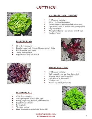 DORSING SEEDS, INC.
www.dorsingseeds.com
LETTUCE
MATINA SWEET (BUTTERHEAD)
‐‐ 53-65 days to maturity
‐‐ 4-5 in. (18-20 cm) in diameter
‐‐ Thick leaves with medium to dark green color
‐‐ Tight heads - small to medium size; creamy center
‐‐ Very slow to bolt
‐‐ When planted close, head remains small & tight
‐‐ Excellent Flavor
BRIGITTE (LEAF)
‐‐ 60-63 days to maturity
‐‐ Dark burgundy - red, elongated leaves - slightly frilled
‐‐ Excellent color when young
‐‐ Tender, delicate flavor
‐‐ Popular use in baby leaf market
BELEAH ROSE (LEAF)
‐‐ 58-62 days to maturity
‐‐ Dark burgundy - red tear drop shape - leaf
‐‐ Blistered leaves with Serated tips
‐‐ Tight Rozette at pink centers
‐‐ Excellent taste
‐‐ Popular use in baby leaf market
SEAFRESH (LEAF)
‐‐ 45-50 days to maturity
‐‐ New lighter green Grand Rapids type
‐‐ Lovely, large, wavy, blistered, serrated leaves
‐‐ Excellent heat tolerance
‐‐ Inviting taste
‐‐ Very slow bolting
‐‐ Good for outdoor or greenhouse production
6
 