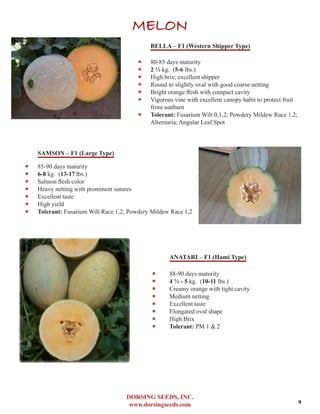 DORSING SEEDS, INC.
www.dorsingseeds.com
MELON
BELLA – F1 (Western Shipper Type)
‐‐ 80-85 days maturity
‐‐ 2 1/2 kg. (5-6 lbs.)
‐‐ High brix; excellent shipper
‐‐ Round to slightly oval with good coarse netting
‐‐ Bright orange flesh with compact cavity
‐‐ Vigorous vine with excellent canopy habit to protect fruit
from sunburn
‐‐ Tolerant: Fusarium Wilt 0,1,2; Powdery Mildew Race 1,2;
Alternaria; Angular Leaf Spot
SAMSON – F1 (Large Type)
‐‐ 85-90 days maturity
‐‐ 6-8 kg. (13-17 lbs.)
‐‐ Salmon flesh color
‐‐ Heavy netting with prominent sutures
‐‐ Excellent taste
‐‐ High yield
‐‐ Tolerant: Fusarium Wilt Race 1,2; Powdery Mildew Race 1,2
ANATARI – F1 (Hami Type)
‐‐ 88-90 days maturity
‐‐ 4 1/2 - 5 kg. (10-11 lbs.)
‐‐ Creamy orange with tight cavity
‐‐ Medium netting
‐‐ Excellent taste
‐‐ Elongated oval shape
‐‐ High Brix
‐‐ Tolerant: PM 1 & 2
9
 
