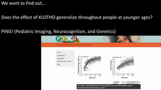 We want to find out…
Does the effect of KLOTHO generalize throughout people at younger ages?
PING! (Pediatric Imaging, Neurocognition, and Genetics)
 