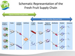 Schematic Representation of the
Fresh Fruit Supply Chain
Packer Landside
Transport
Grower/
Producer
Cold Store Re-packerFreight
Carrier
Regional
Warehouses
Distribution Retailer Consumer
Importer Activities (Demand Side)
Exporter Activities (Supply Side)
 