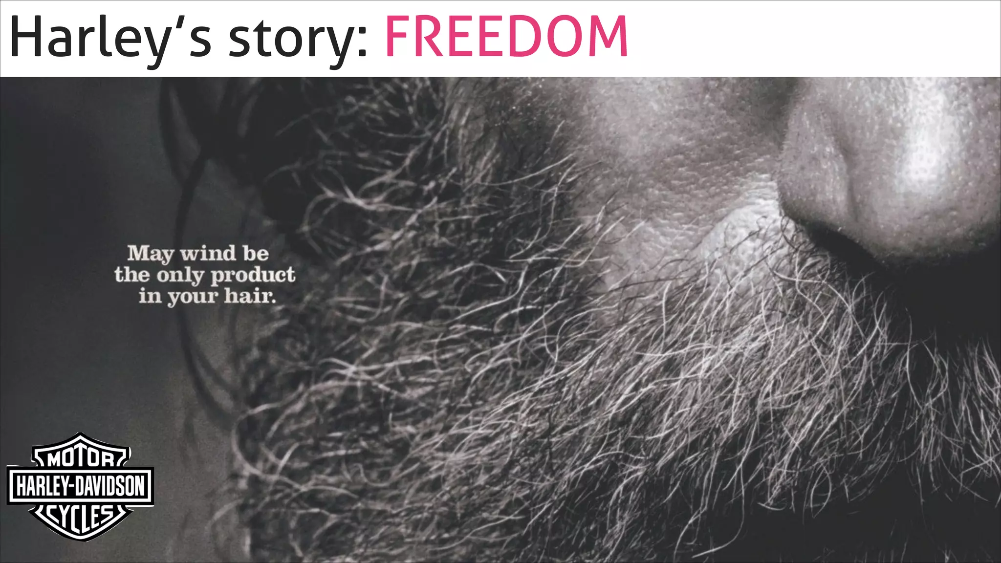 Harley’s story: FREEDOM !

 