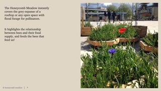 The Honeycomb Meadow instantly
covers the grey expanse of a
rooftop or any open space with
floral forage for pollinators.
It highlights the relationship
between bees and their food
supply, and feeds the bees that
feed us!
© honeycomb meadow 3
 