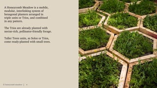 A Honeycomb Meadow is a mobile,
modular, interlinking system of
hexagonal planters arranged in
triple units or Trios, and combined
in any pattern.
The Trios are already planted with
nectar-rich, pollinator-friendly forage.
Taller Trees units, as Solos or Trios,
come ready-planted with small trees.
© honeycomb meadow 4
 