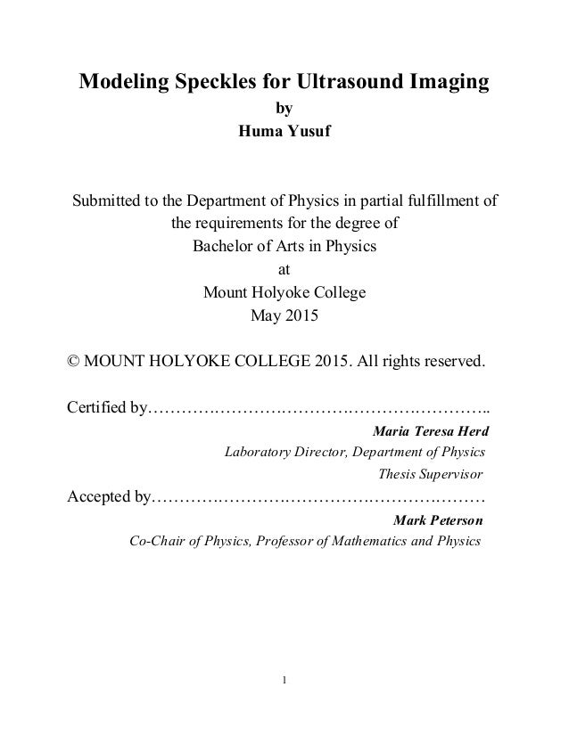 Thesis Mhc 2015 Huma Yusuf Google Docs