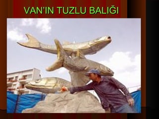 VAN’IN TUZLU BALIĞI
 