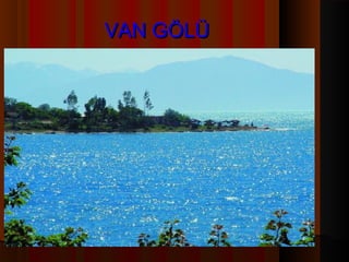 VAN GÖLÜ
 
