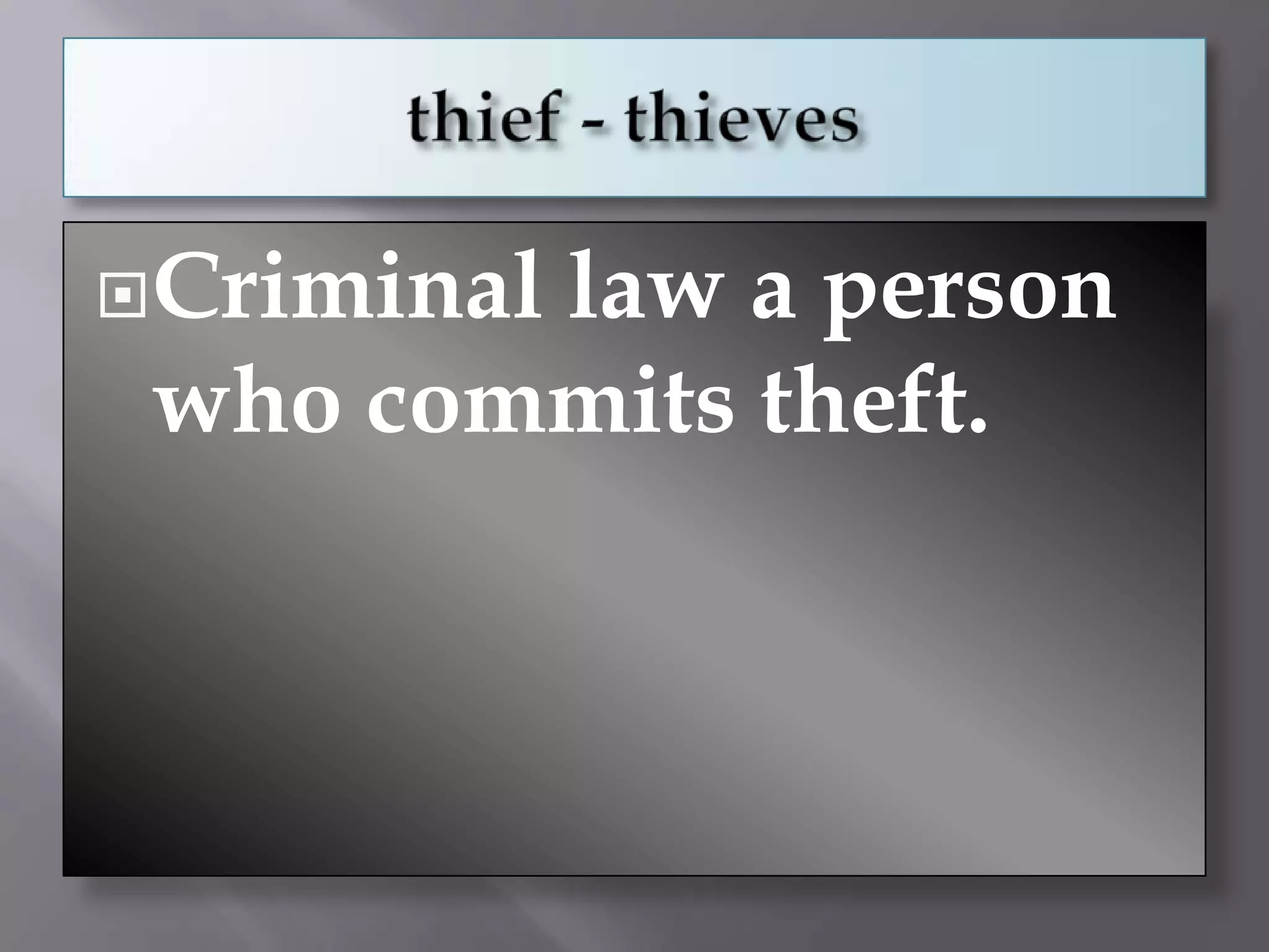  Criminal
        law a person
 who commits theft.
 