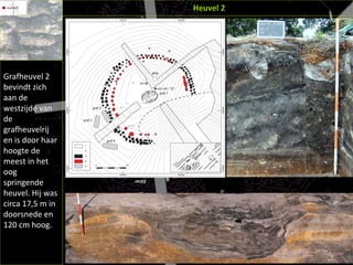 Heuvel 2 Grafheuvel 2 bevindt zich aan de westzijde van de grafheuvelrij en is door haar hoogte de meest in het oog springende heuvel. Hij was circa 17,5 m in doorsnede en 120 cm hoog.   