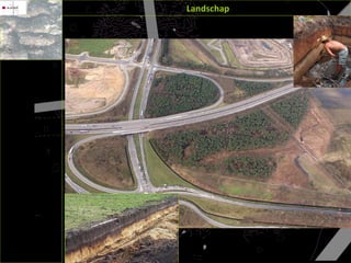 Landschap 