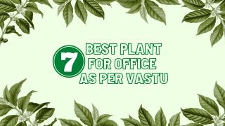 BEST PLANTBEST PLANT
FOR OFFICEFOR OFFICE
AS PER VASTUAS PER VASTU
 
