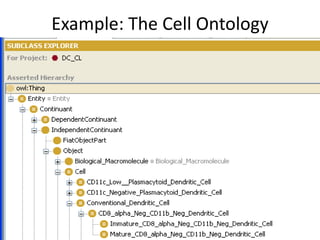 Example: The Cell  Ontology 