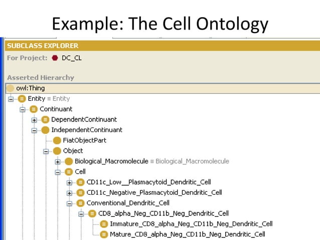 Basic Formal Ontology: A Common Standard | PPT