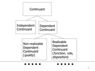 Continuant Independent Continuant Dependent Continuant .....  ..... Non-realizable Dependent Continuant ( quality ) Realizable  Dependent Continuant ( function ,  role ,  disposition ) 