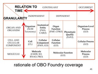 rationale of OBO Foundry coverage  CONTINUANT OCCURRENT INDEPENDENT DEPENDENT ORGAN AND ORGANISM Organism (NCBI Taxonomy) Anatomical Entity (FMA, CARO) Organ Function (FMP, CPRO) Phenotypic Quality (PaTO) Organism-Level Process (GO) CELL AND CELLULAR COMPONENT Cell (CL) Cellular Component (FMA, GO) Cellular Function (GO) Cellular Process (GO) MOLECULE Molecule (ChEBI, SO, RNAO, PRO) Molecular Function (GO) Molecular Process (GO) GRANULARITY RELATION TO TIME 