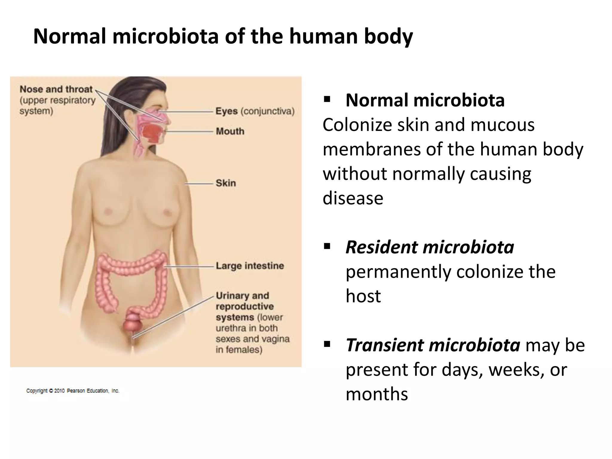 Normal microbiota of the human body
 Normal microbiota
Colonize skin and mucous
membranes of the human body
without normally causing
disease
 Resident microbiota
permanently colonize the
host
 Transient microbiota may be
present for days, weeks, or
months
 