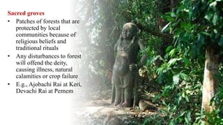 Sacred groves
• Patches of forests that are
protected by local
communities because of
religious beliefs and
traditional rituals
• Any disturbances to forest
will offend the deity,
causing illness, natural
calamities or crop failure
• E.g., Ajobachi Rai at Keri,
Devachi Rai at Pernem
 