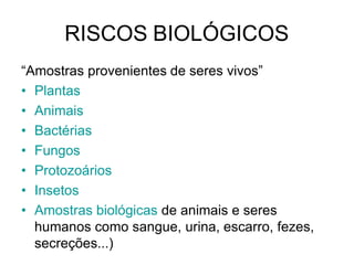 RISCOS BIOLÓGICOS
“Amostras provenientes de seres vivos”
• Plantas
• Animais
• Bactérias
• Fungos
• Protozoários
• Insetos
• Amostras biológicas de animais e seres
humanos como sangue, urina, escarro, fezes,
secreções...)
 