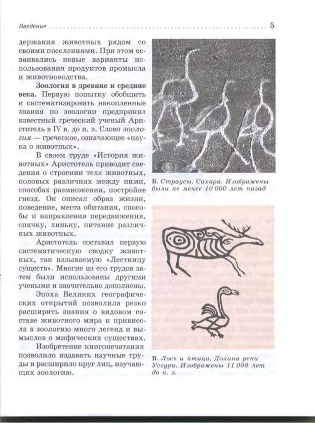 Презентация продление рода органы размножения 7 класс латюшин