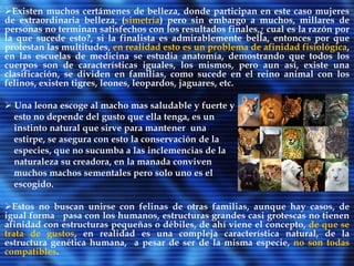 Siendo mas exigentes, afirmaremos sin temor a equivocarnos que la definición de belleza no existe como tal, ni la capacidad de percibirla en su totalidad  ya que esto depende únicamente  del nivel concientivo del individuo. Aunque tenga definición, medida, peso o color, en el fondo solo son sensaciones, entonces como podría medirse un sentir o pesarse, como puede sintetizarse eso de belleza con números.Los griegos llamaron al universo cosmos, y no por lo que se cree ni se conoce del universo, sino por el orden que el mantiene, la palabra cosmos viene de griego κόσμος y significa orden, dando a entender que lo que está en orden es bello, de esta se deriva la palabra cosméticos, que dan a entender cosmo-ética o sea indumentaria que sirve para poner orden, lo que se considere que no este en orden de acuerdo al la percepción. 