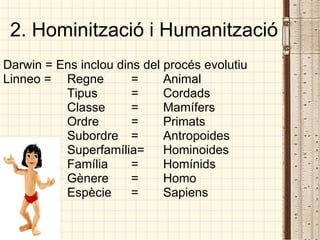2. Hominització i Humanització Darwin = Ens inclou dins del procés evolutiu Linneo =  Regne = Animal Tipus =  Cordads Classe = Mamífers Ordre = Primats Subordre = Antropoides Superfamília= Hominoides Família = Homínids Gènere =  Homo Espècie = Sapiens 